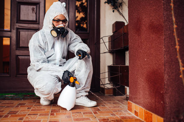 Reliable Wasp Removal contractor in New Carrollton, MD by Show Me Pest Control