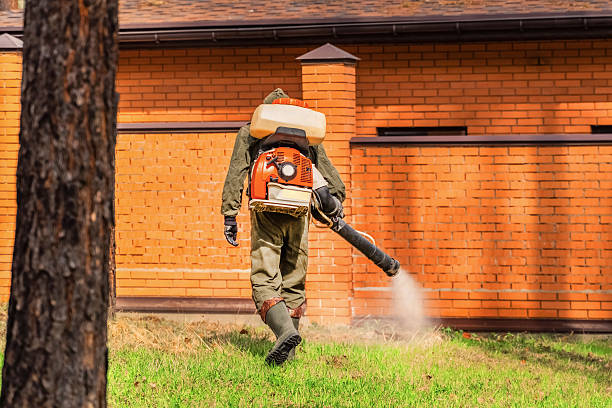 Top rated local Wasp Removal specialists in New Carrollton, MD